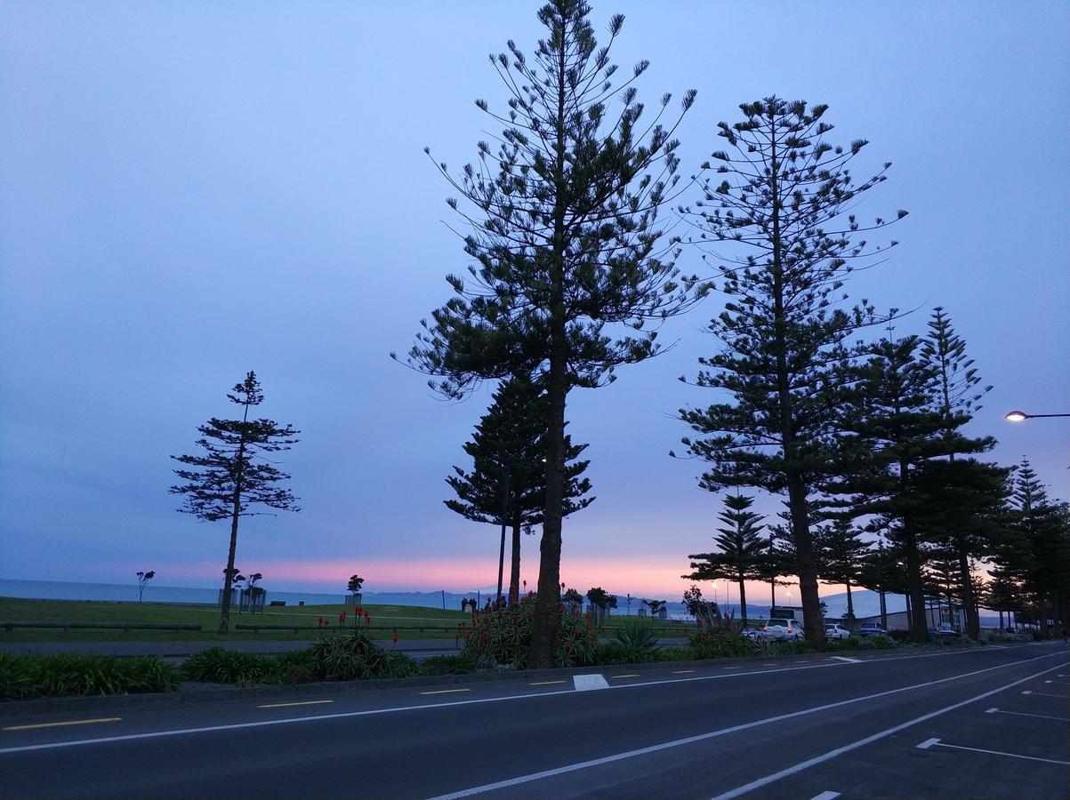 Хостел Napier Art House Backpackers Екстер'єр фото