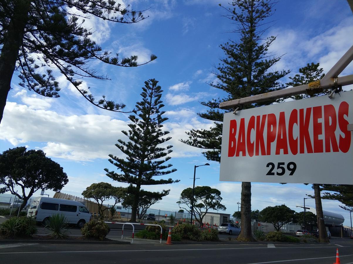 Хостел Napier Art House Backpackers Екстер'єр фото